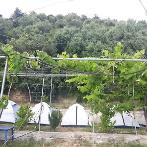 Jungle In Tente de luxe